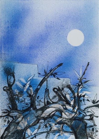 Paesaggio Lunare