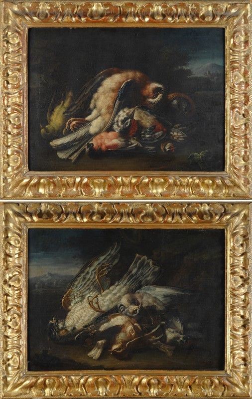Scuola Bolognese, XVIII Sec. - Natura Morta con Volatili