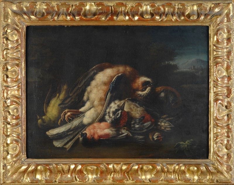 Scuola Bolognese, XVIII Sec. - Natura Morta con Volatili