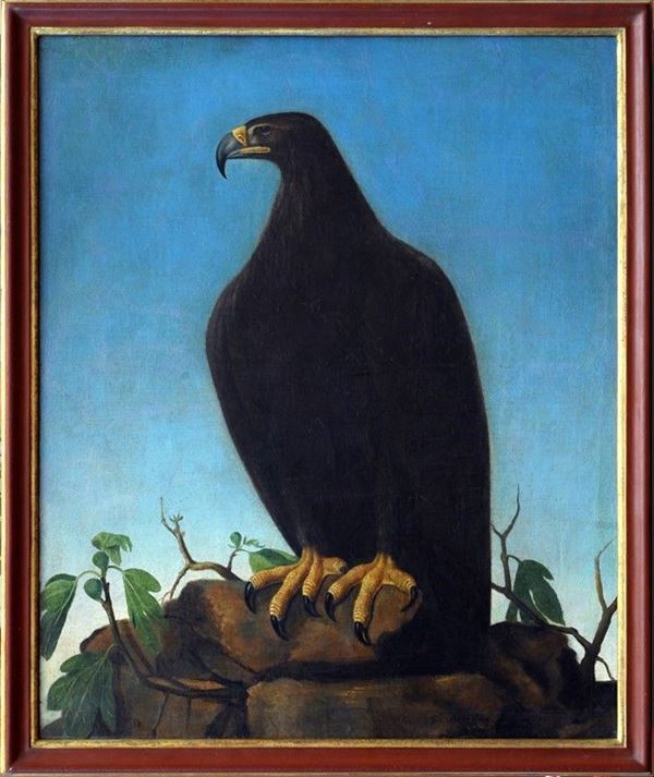 Pio Boni - Aquila su una roccia