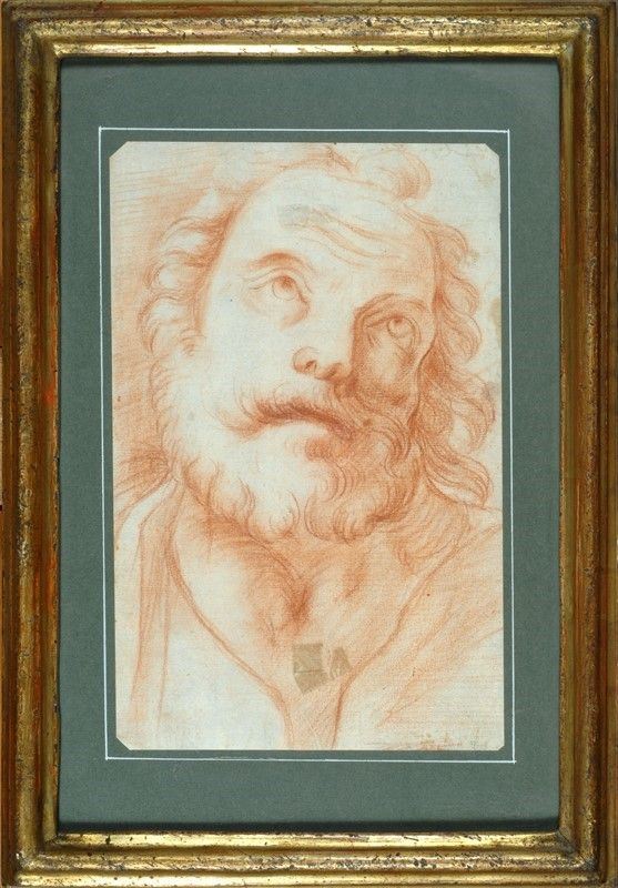 Scuola Veneta, XVIII sec. - Testa di vecchio