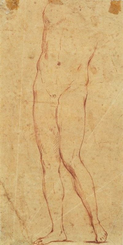 Torso Maschile