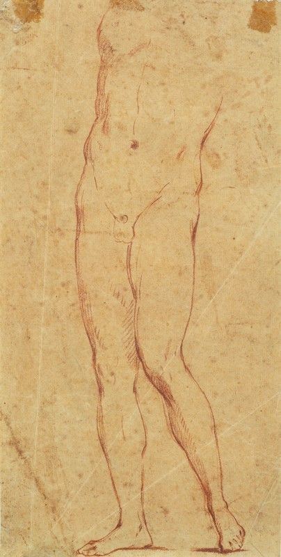 Scuola Emiliana, XVII sec. - Torso maschile