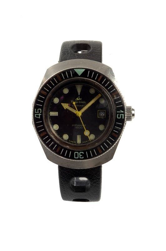 Philip Watch Professional 1500