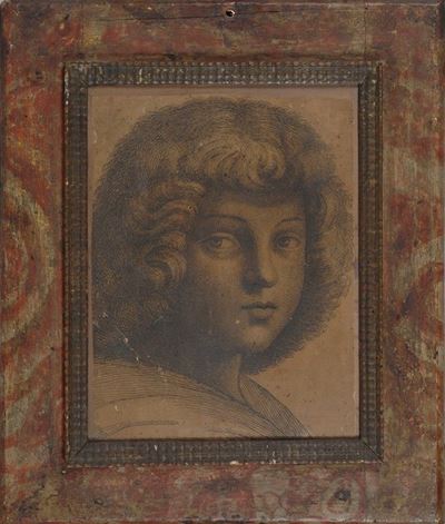 Testa di Giovane