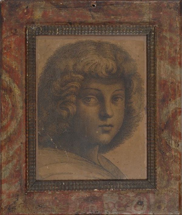 Testa di giovane