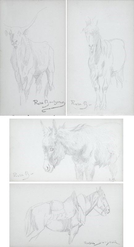Rosa Bonheur - Quattro disegni