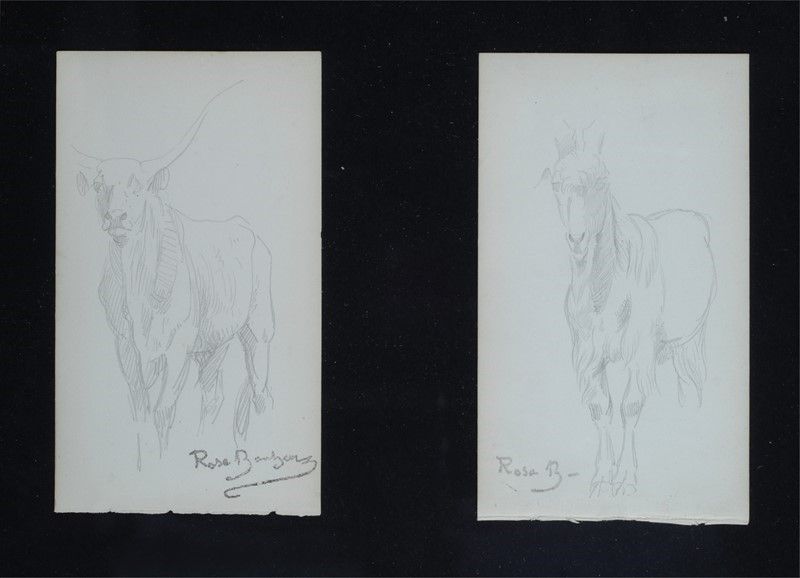 Rosa Bonheur - Quattro Disegni
