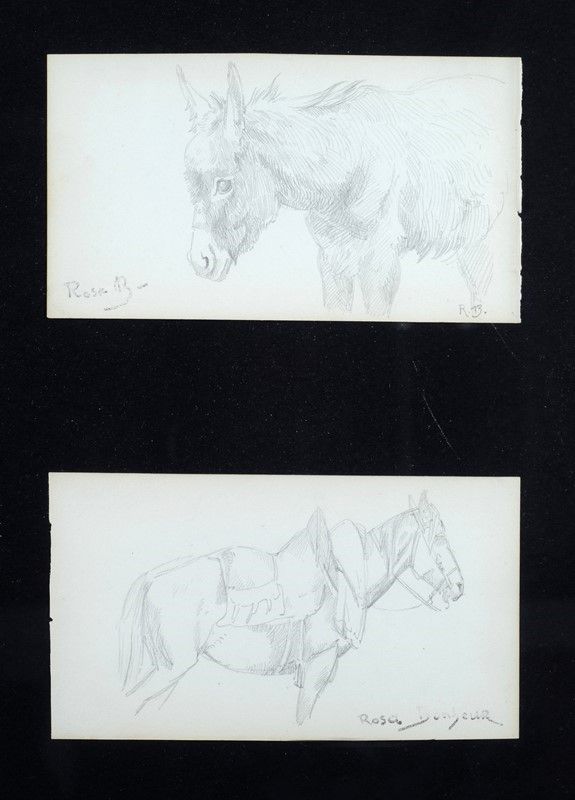 Rosa Bonheur - Quattro Disegni