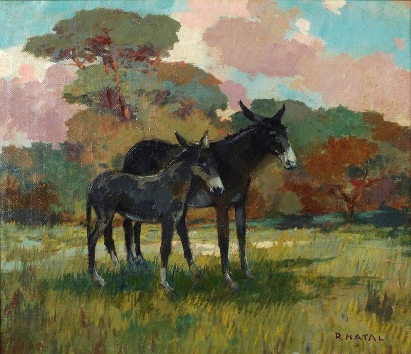Renato Natali - Ciuchini