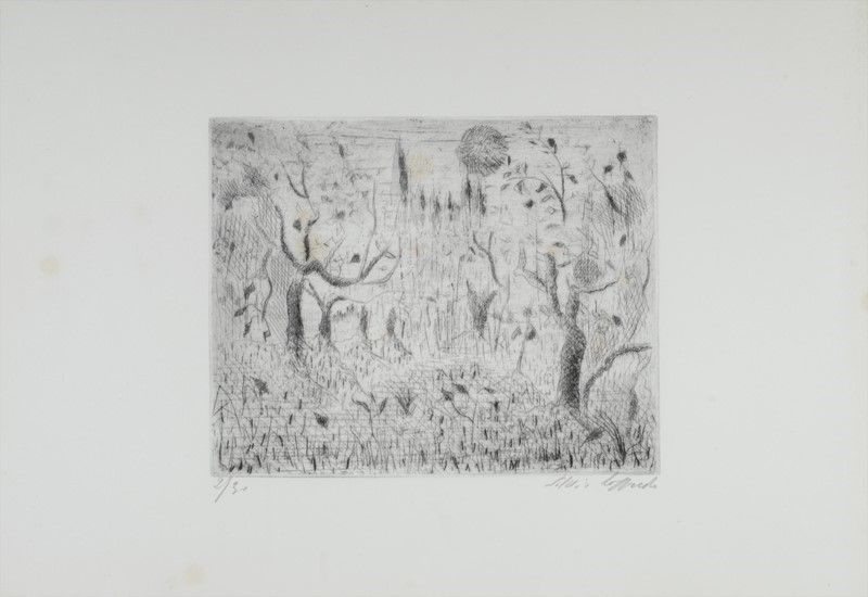 Silvio Loffredo - Piazza Santa Maria Novella