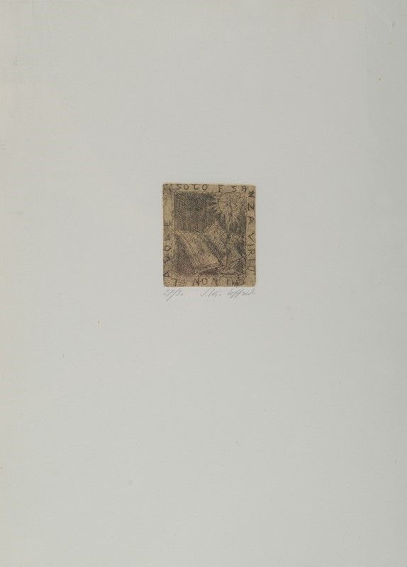 Silvio Loffredo - Piazza Santa Maria Novella