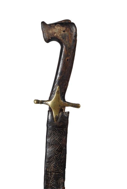 Scimitarra                                                                                          