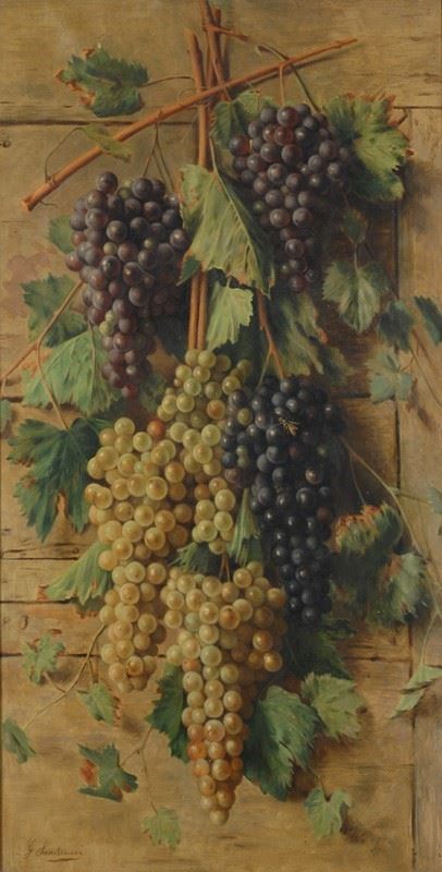 Giovanni Sandrucci : Natura morta con uva  - Olio su tela - Asta AUTORI DEL XIX E XX SEC - Galleria Pananti Casa d'Aste