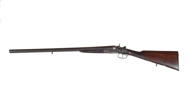 Fucile da Caccia a Cani Esterni