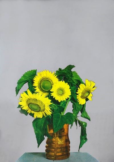 Girasoli