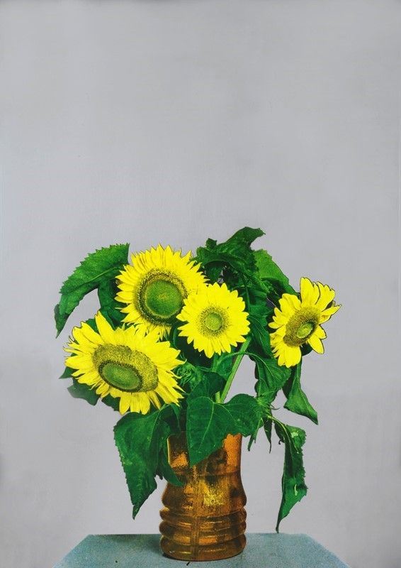 Michelangelo Pistoletto - Girasoli
