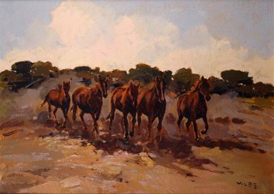 Maremma - Cavalli in Fuga