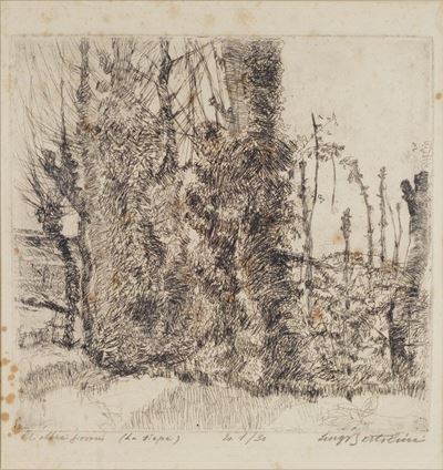 Gli Alberi Giovani (la Siepe)