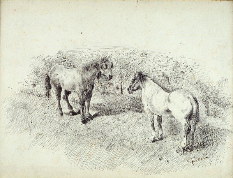 Arturo Faldi - Cavalli in Sosta