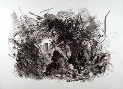Casa nel Bosco
