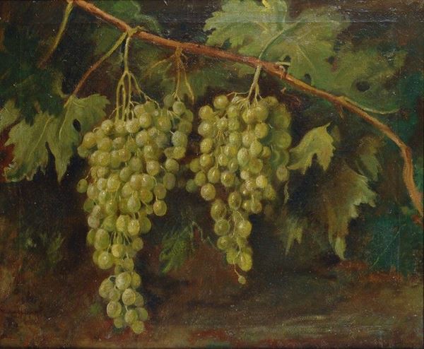 Anonimo, XIX sec. : Grappoli d'uva  - Olio su tela - Asta ANTIQUARIATO - Galleria Pananti Casa d'Aste