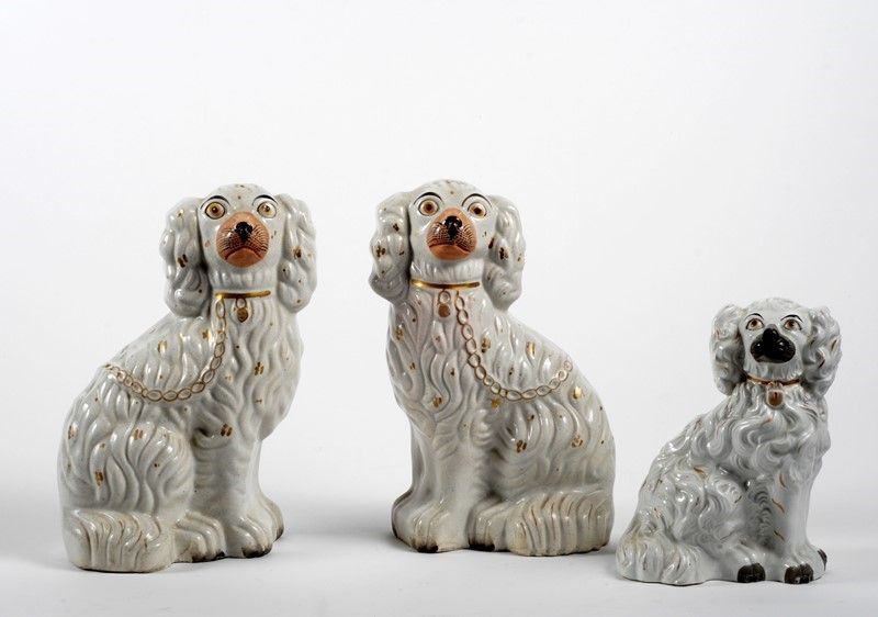Coppia di Cani