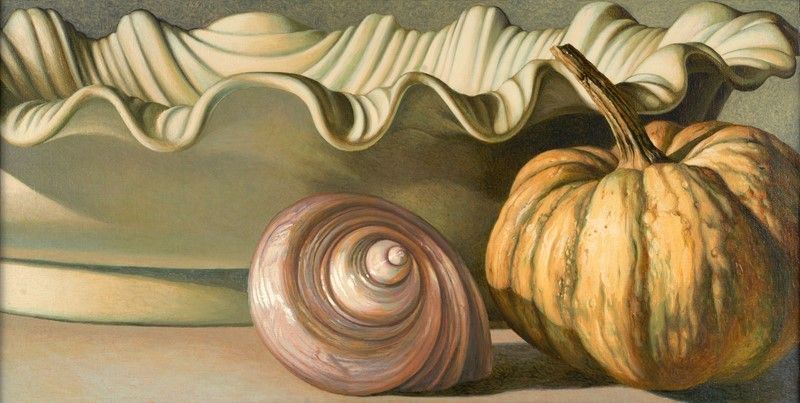 Fabio Aguzzi - Porcellana, Zucca, Conghiglia