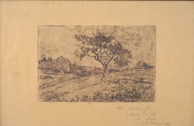 Albero