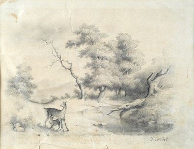 Veduta di Bosco con Cerbiatti