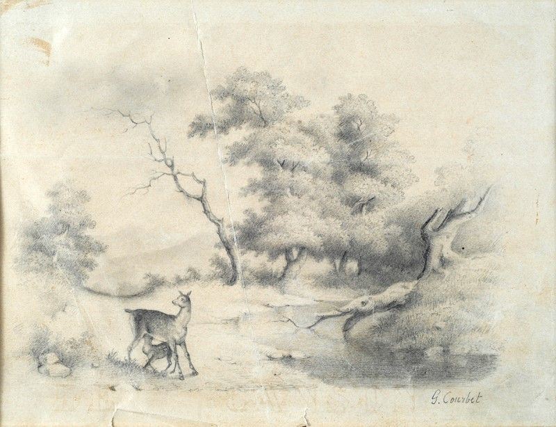 Gustave Courbet - Veduta di Bosco con Cerbiatti