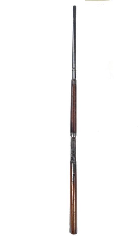 Winchester