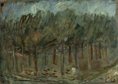 Alberi