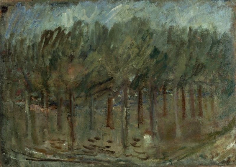 Mario Marcucci - Alberi
