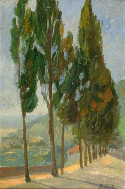 Cipressi