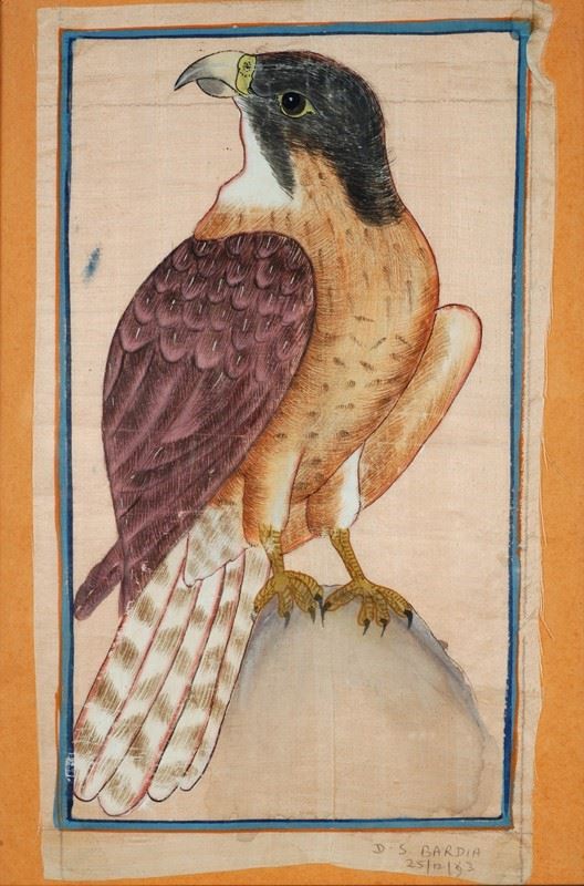 Anonimo, XX sec. - Falco