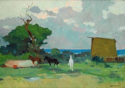 Maremma