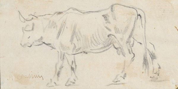 Attr. a Alberto Pasini - Studio di bovino