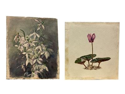 Fiori