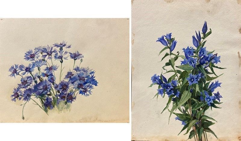 Anonimo, XX Sec. - Fiori