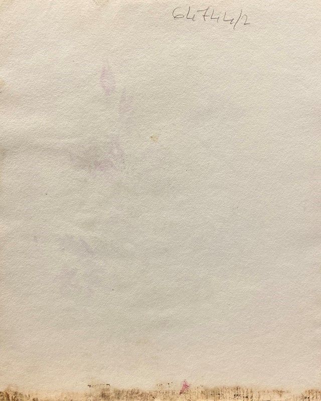 Anonimo, XX Sec. - Fiori