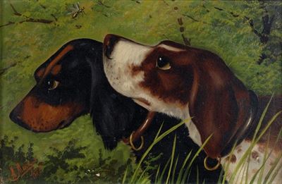 Cani da Caccia