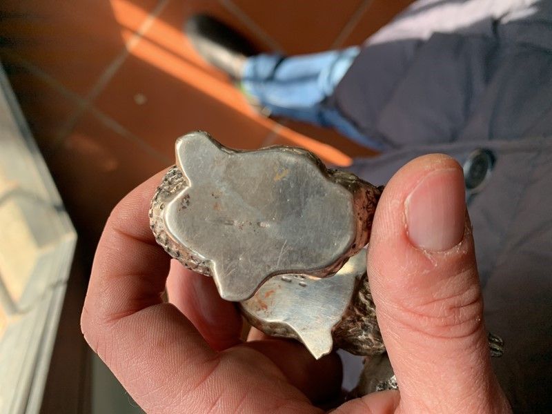 Dodici Sculturine di Animali