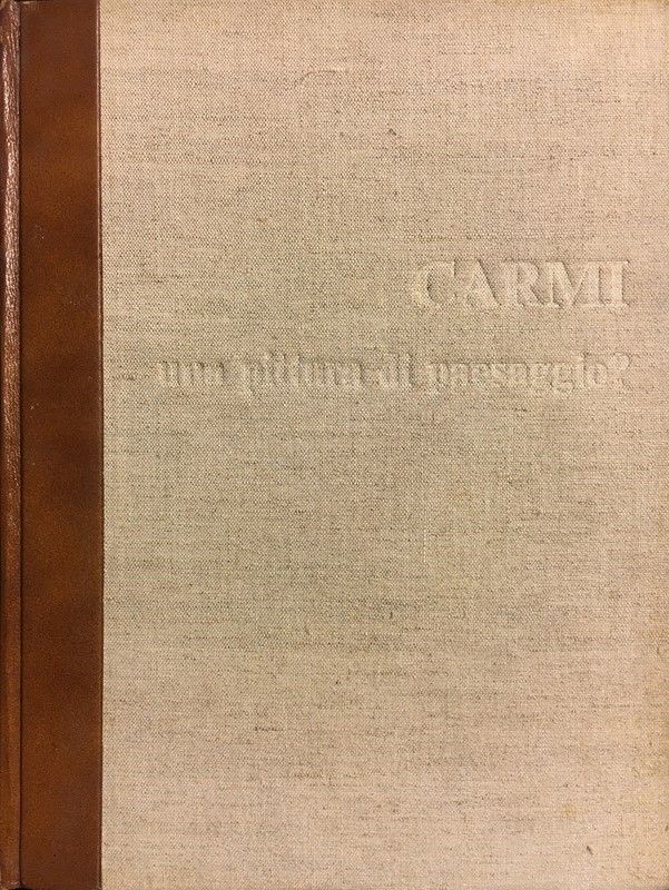 Eugenio Carmi - una Pittura di Paesaggio?
