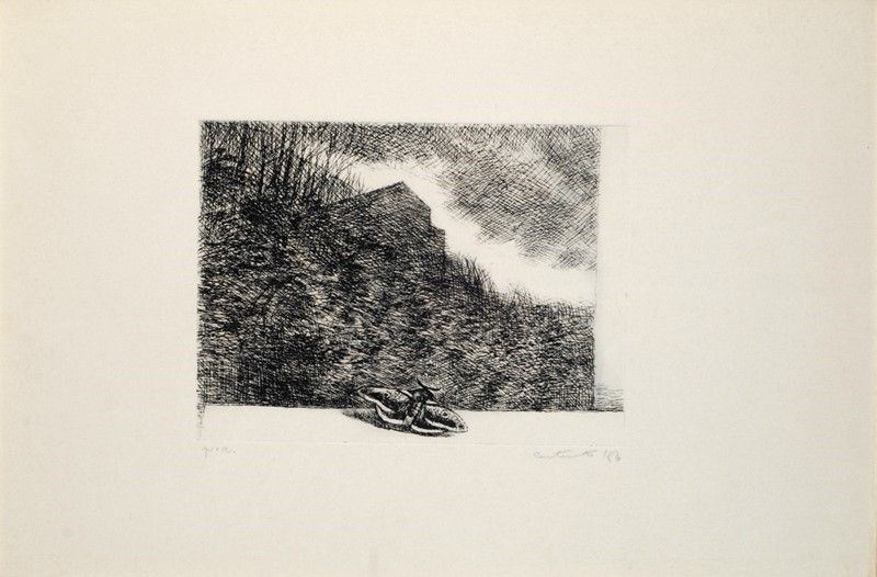 Mario Carotenuto - Falena