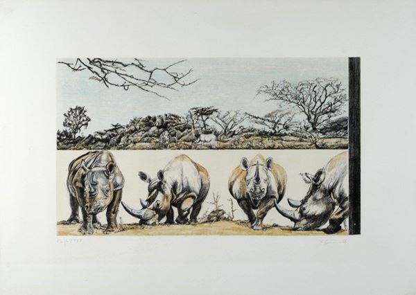 Vincenzo Gaetaniello - Africa