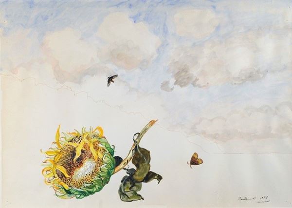 Mario Carotenuto - Girasole e farfalline