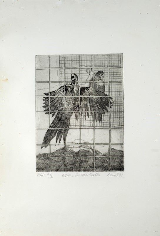 Robert Carroll - Pappagalli