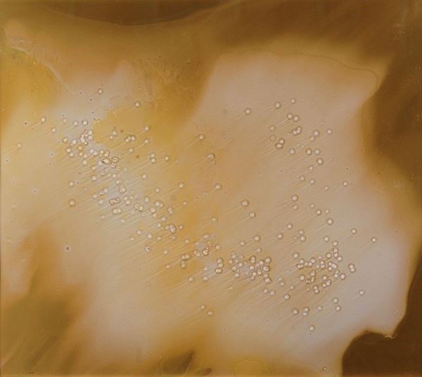 Vasco Bendini : Senza titolo  - Auction Arte Moderna e Contemporanea - IV - Galleria Pananti Casa d'Aste