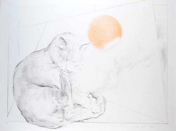 Antonio Ciccone - Gatto